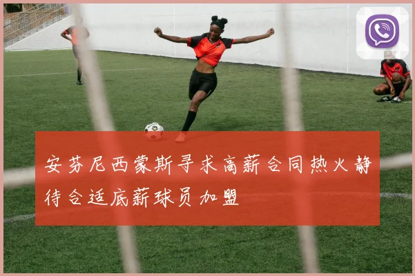 安芬尼西蒙斯寻求高薪合同热火静待合适底薪球员加盟